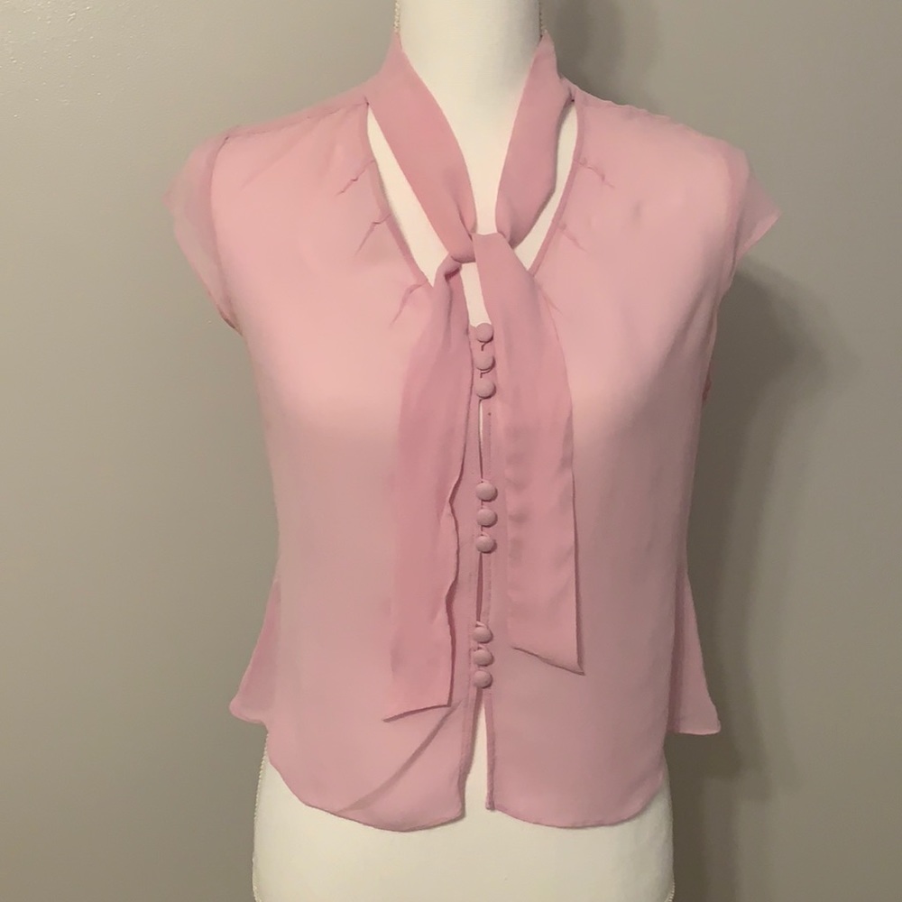Ann Taylor, Silk blouse, button front with neck ties, pink, medium petite